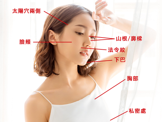 渾然天成整形醫美|異體真皮針劑可施打部位 渾然天成整形醫美|異體真皮針劑可施打部位
