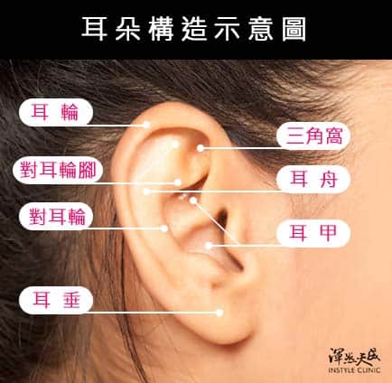 痔瘡是什麼 大腸直腸外科醫師告訴你痔瘡是什麼