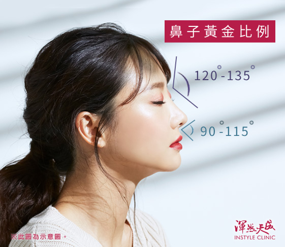鼻形黃金比例|渾然天成整形醫美 鼻形黃金比例|渾然天成整形醫美