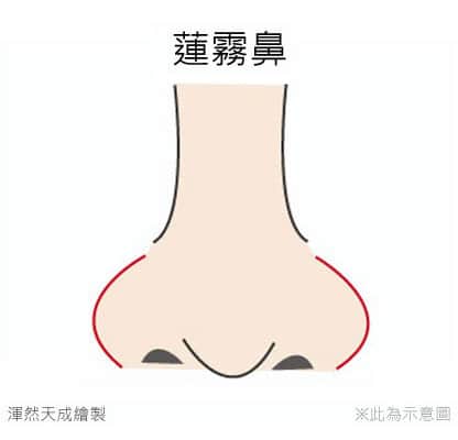 渾然天成,縮鼻頭,鼻頭,台北,醫美,整形,腫,推薦,消腫,蒜頭鼻,蓮霧鼻,諮詢,自然,疤痕,量身訂做,手術,麻醉,無痛,術前,術後,鼻子,醫師,專業,保養,費用,鼻翼,無疤,缺點,恢復期,鼻肉,軟組織,山根,價格,價錢,費用,塌鼻子,微整,微整型,ptt,失敗,微創,鼻孔,鼻柱,鼻尖,鼻骨,鼻軟骨,軟骨,隆鼻,縮鼻翼,鼻翼,朝天鼻
