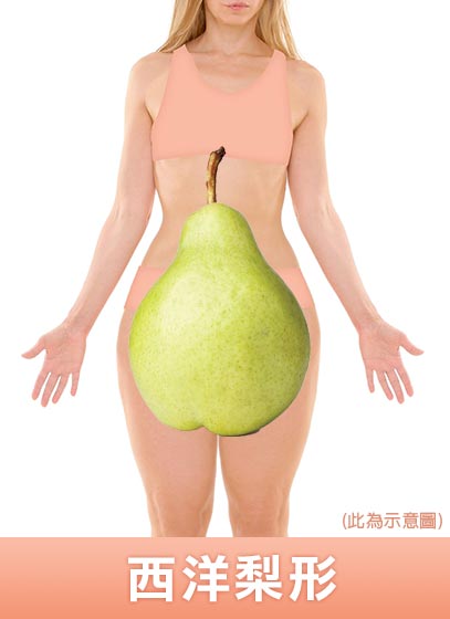 渾然天成整形醫美|腹部三合一抽脂-體型1/西洋梨形。 渾然天成整形醫美|腹部三合一抽脂-體型1/西洋梨形。