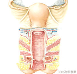 陰道鬆弛,困擾,私密處不舒服,妹妹養,妹妹不舒服,私密處保養方法,月經,女性疾病,私密處衛教,私密處要注意,陳淑賢醫師,渾然天成,嚴重鬆弛,更年期,性生活不滿,陰道收縮,愛愛不順,性愛沒感覺,白帶多,分泌物多,私密處感染,泡湯,安全,漏尿,尿失禁,血塊,私密處權威醫師,私密處女醫師