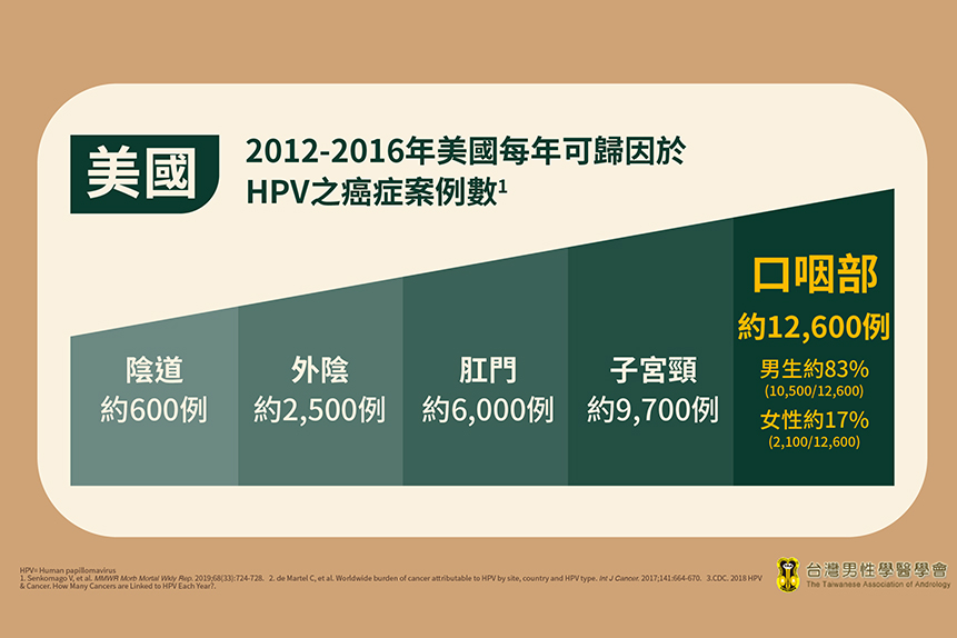 渾然天成整形醫美|HPV造成癌症的比例參考