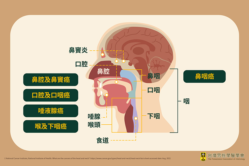 渾然天成整形醫美|頭頸癌是什麼