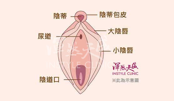 陰蒂,包皮,過長,不敏感,小陰唇,私密處,外觀,修整,手術,渾然天成,陳淑賢